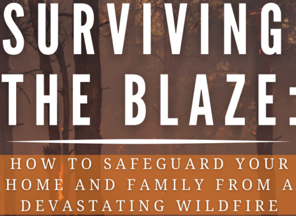 Surviving The Blaze