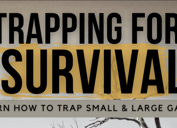 Trapping For Survival