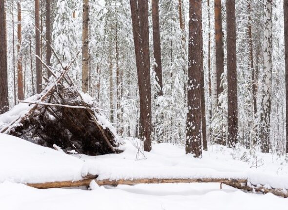 Surviving in Cold Environments