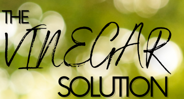The Vinegar Solution