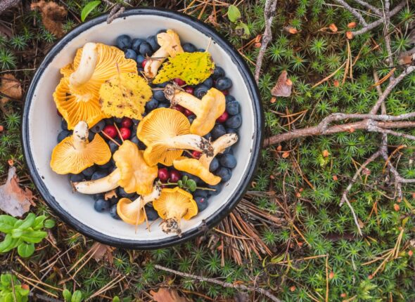 Foods to Pack for Hiking